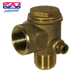 NON-RETURN VALVE 3/4' - F/M BX16VRV120